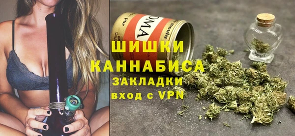 МДПВ Алзамай