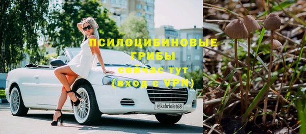 а пвп мука Армянск
