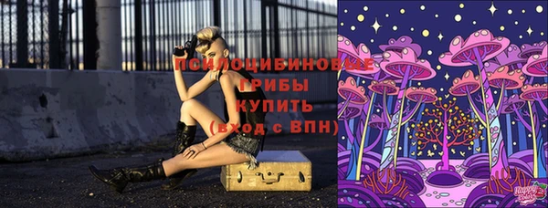 метадон Арсеньев